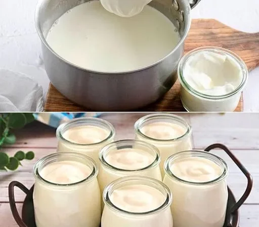 Iogurte grego caseiro com 2 ingredientes